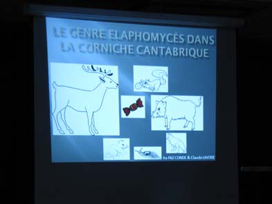 Conferencia sobre Elaphomyces