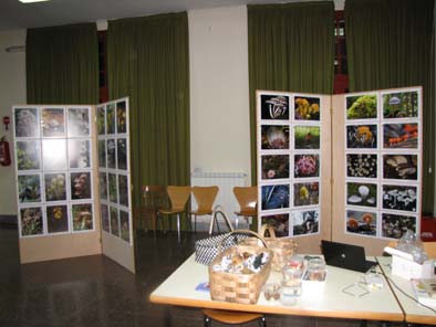 Premios de fotografía micológica de la Asoc. Botánica y Micológica de Jaén