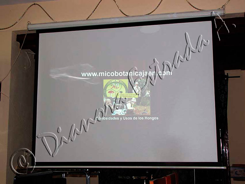 Presentación del audiovisual "Curiosidades y usos de los hongos" a cargo de Demetrio Merino