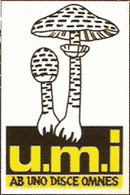 Logo UMI