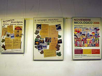 Carteles del Noviembre Micológico de la Asoc. Micológica Hispalense Muscaria